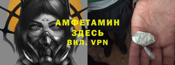 PSILOCYBIN Балахна