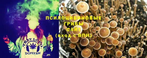 PSILOCYBIN Балахна