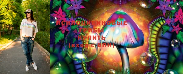 дмт Аркадак