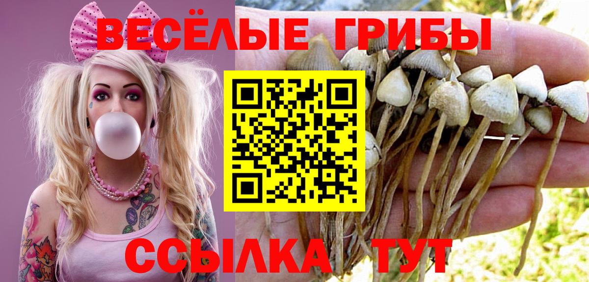 Псилоцибиновые грибы мухоморы Старая Купавна